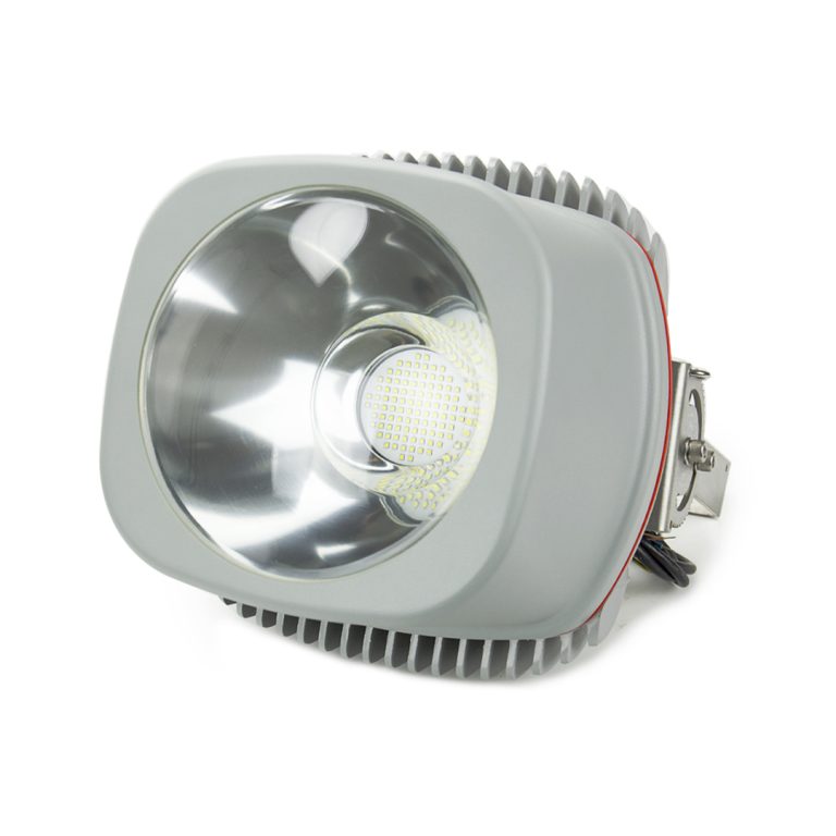 RGL-180P LED Marine Flood Light