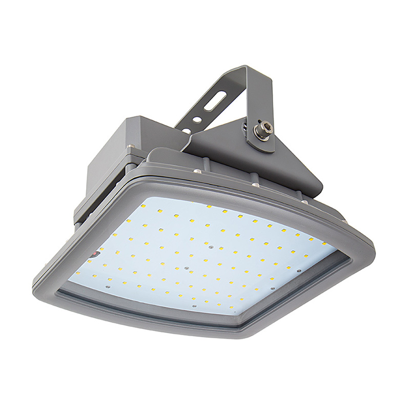 REP-J100 Explosion Proof Flood Light IP68