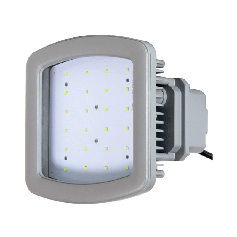 REP-J40 Explosion Proof Flood Light Back View